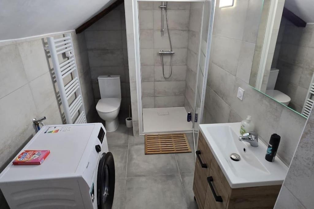 Aux Deux Marronniers Cathares Villa Castelnau-de-Levis Ngoại thất bức ảnh